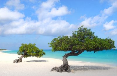 Queen Beatrix International Airport